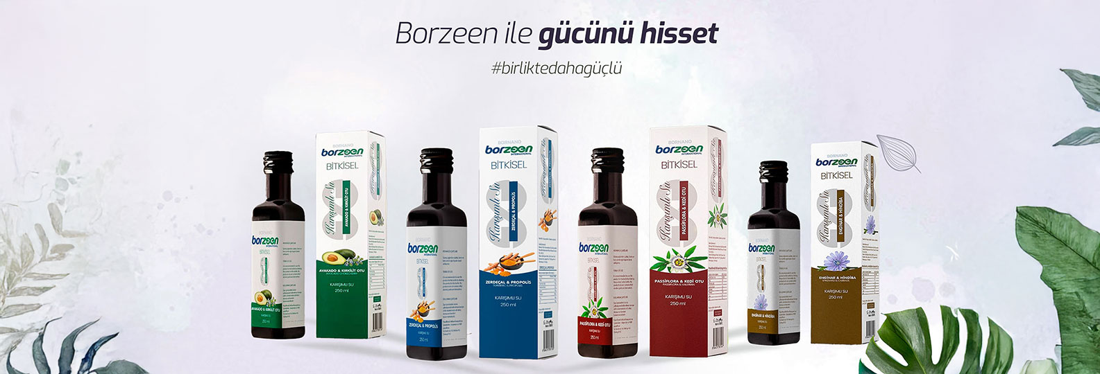 Borzeen slider